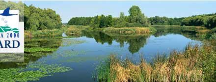 Premios Natura 2000