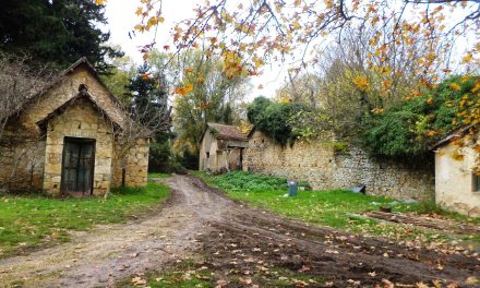 Breves escapadas por los alrededores de Atenas