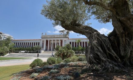 El Museo Arqueológico Nacional estrena su nuevo jardín