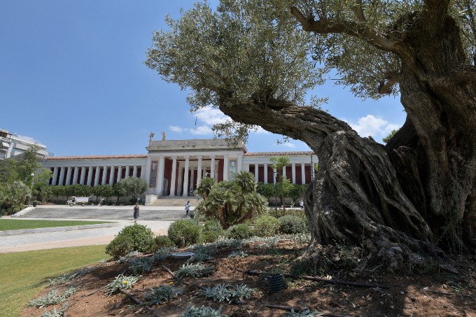 El Museo Arqueológico Nacional estrena su nuevo jardín