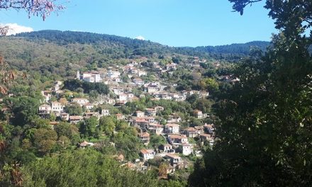 Vamvakou Revival: Encuentros artísticos inesperados en un pueblo del Peloponeso