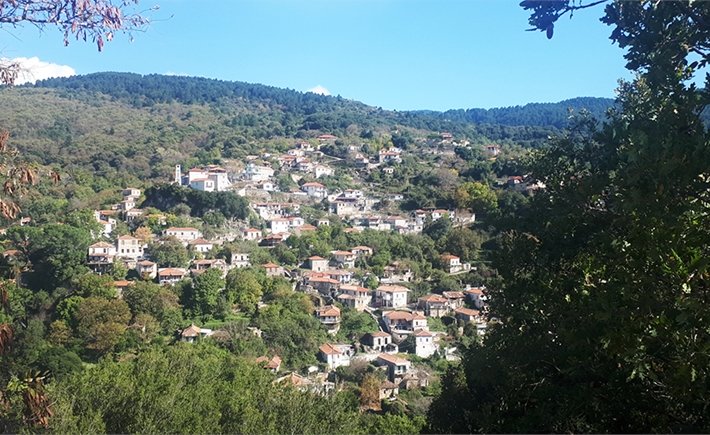 Vamvakou Revival: Encuentros artísticos inesperados en un pueblo del Peloponeso