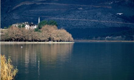 Una Isla Pequeña de Gran Hermosura