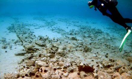 Pavlopetri: la ciudad sumergida más antigua del mundo