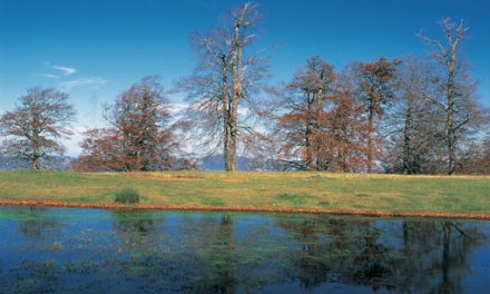 Explorando uno de los parques nacionales más fascinantes de Europa