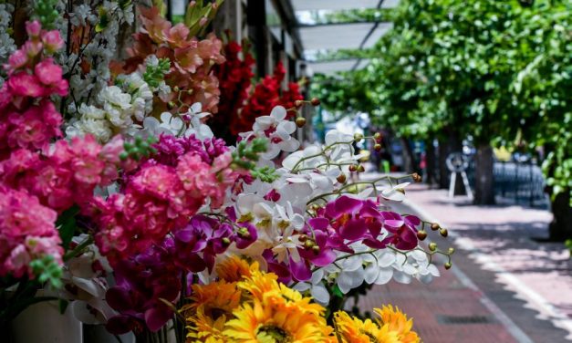 La zona de las históricas floristerías de la plaza de la Constitución de Atenas recupera su antiguo esplendor con una iniciativa conjunta del Parlamento Helénico, el Ministerio de Cultura y Deporte y la Empresa Pública Inmobiliaria de Grecia