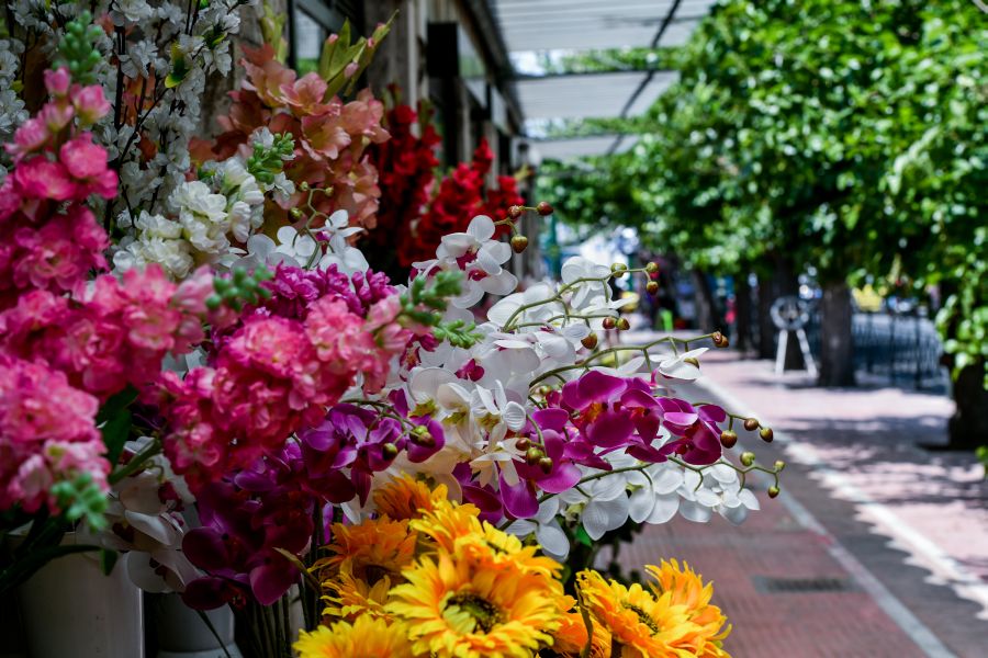 La zona de las históricas floristerías de la plaza de la Constitución de Atenas recupera su antiguo esplendor con una iniciativa conjunta del Parlamento Helénico, el Ministerio de Cultura y Deporte y la Empresa Pública Inmobiliaria de Grecia