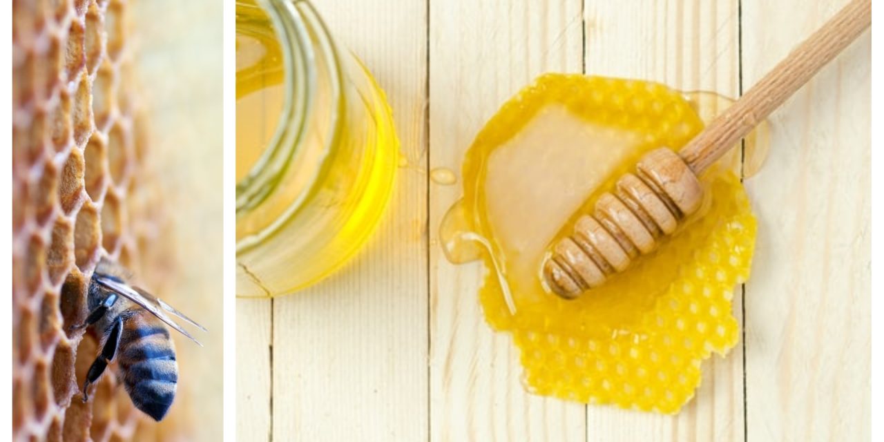 La miel griega, una de las mejores del mundo