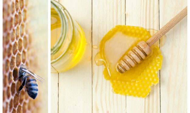 La miel griega, una de las mejores del mundo