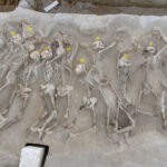 Los “Encadenados” [«Δεσμώτες»] regresan a su posición original, protegidos por un recinto protector, en la Explanada de Fáliro.